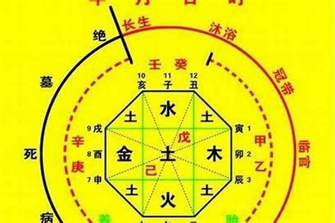 五行忌什么|八字喜用神在线查询器,在线查五行喜神忌神